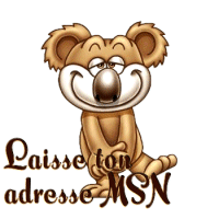 laisse - moi ton adresse msn